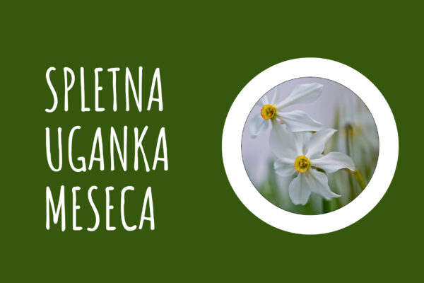 Spletna uganka meseca marca